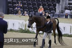 25R13_00786 thumbnail