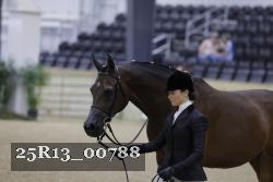25R13_00788 thumbnail