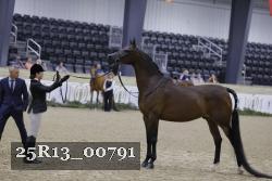 25R13_00791 thumbnail
