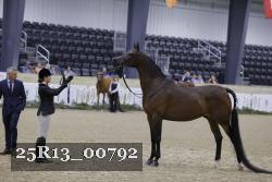 25R13_00792 thumbnail