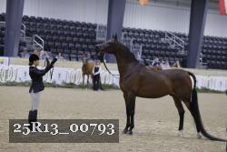 25R13_00793 thumbnail
