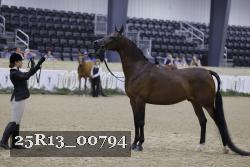 25R13_00794 thumbnail