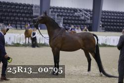 25R13_00795 thumbnail