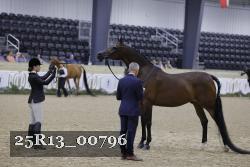 25R13_00796 thumbnail