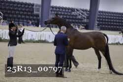 25R13_00797 thumbnail