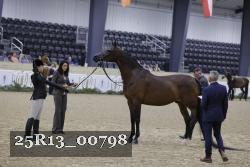 25R13_00798 thumbnail