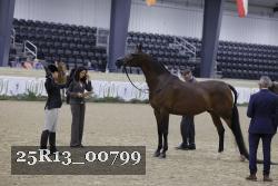 25R13_00799 thumbnail