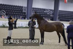 25R13_00800 thumbnail