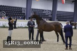 25R13_00801 thumbnail