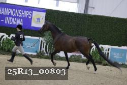 25R13_00803 thumbnail