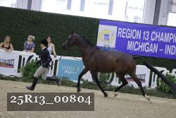 25R13_00804 thumbnail