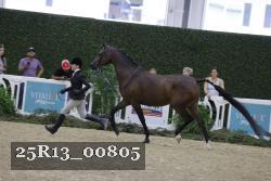 25R13_00805 thumbnail