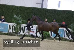 25R13_00806 thumbnail