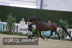 25R13_00807 thumbnail