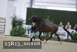 25R13_00808 thumbnail