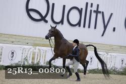 25R13_00809 thumbnail