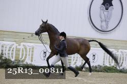 25R13_00811 thumbnail