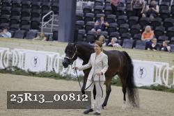 25R13_00812 thumbnail