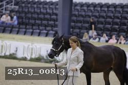 25R13_00813 thumbnail