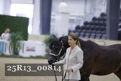 25R13_00814 thumbnail