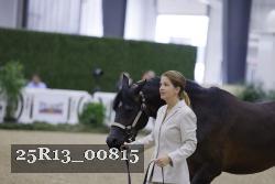 25R13_00815 thumbnail