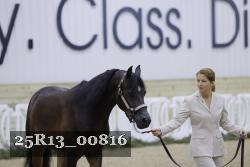 25R13_00816 thumbnail