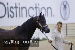 25R13_00817 thumbnail