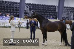25R13_00818 thumbnail