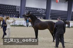 25R13_00821 thumbnail