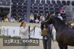 25R13_00823 thumbnail