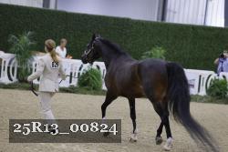 25R13_00824 thumbnail
