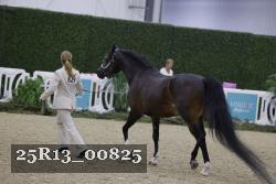 25R13_00825 thumbnail