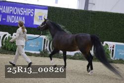 25R13_00826 thumbnail