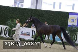 25R13_00827 thumbnail