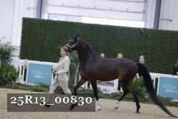 25R13_00830 thumbnail