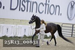 25R13_00831 thumbnail