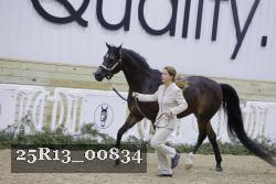 25R13_00834 thumbnail