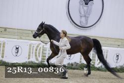 25R13_00836 thumbnail
