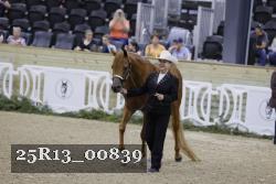 25R13_00839 thumbnail