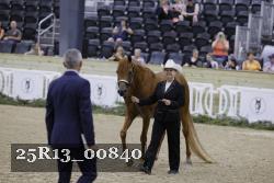 25R13_00840 thumbnail