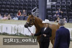 25R13_00841 thumbnail