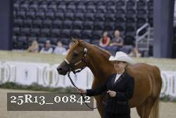 25R13_00842 thumbnail