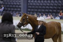 25R13_00843 thumbnail