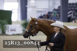 25R13_00844 thumbnail