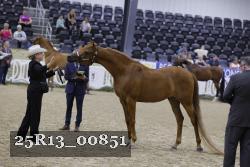25R13_00851 thumbnail