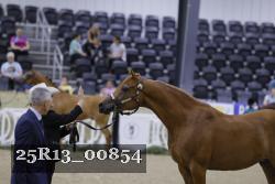 25R13_00854 thumbnail