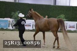 25R13_00856 thumbnail