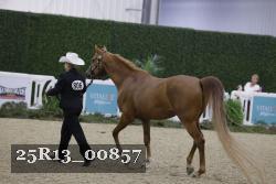 25R13_00857 thumbnail