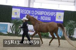 25R13_00859 thumbnail