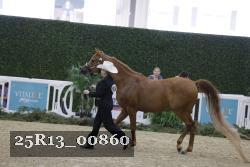 25R13_00860 thumbnail